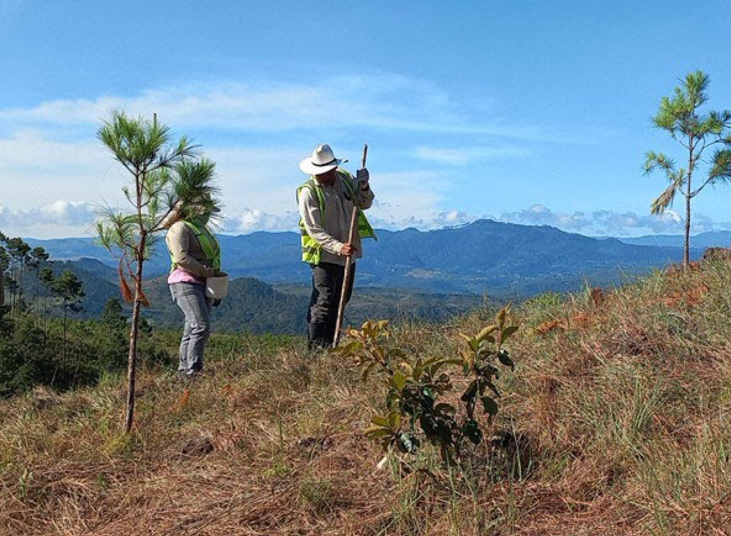 Planting trees and supporting communities