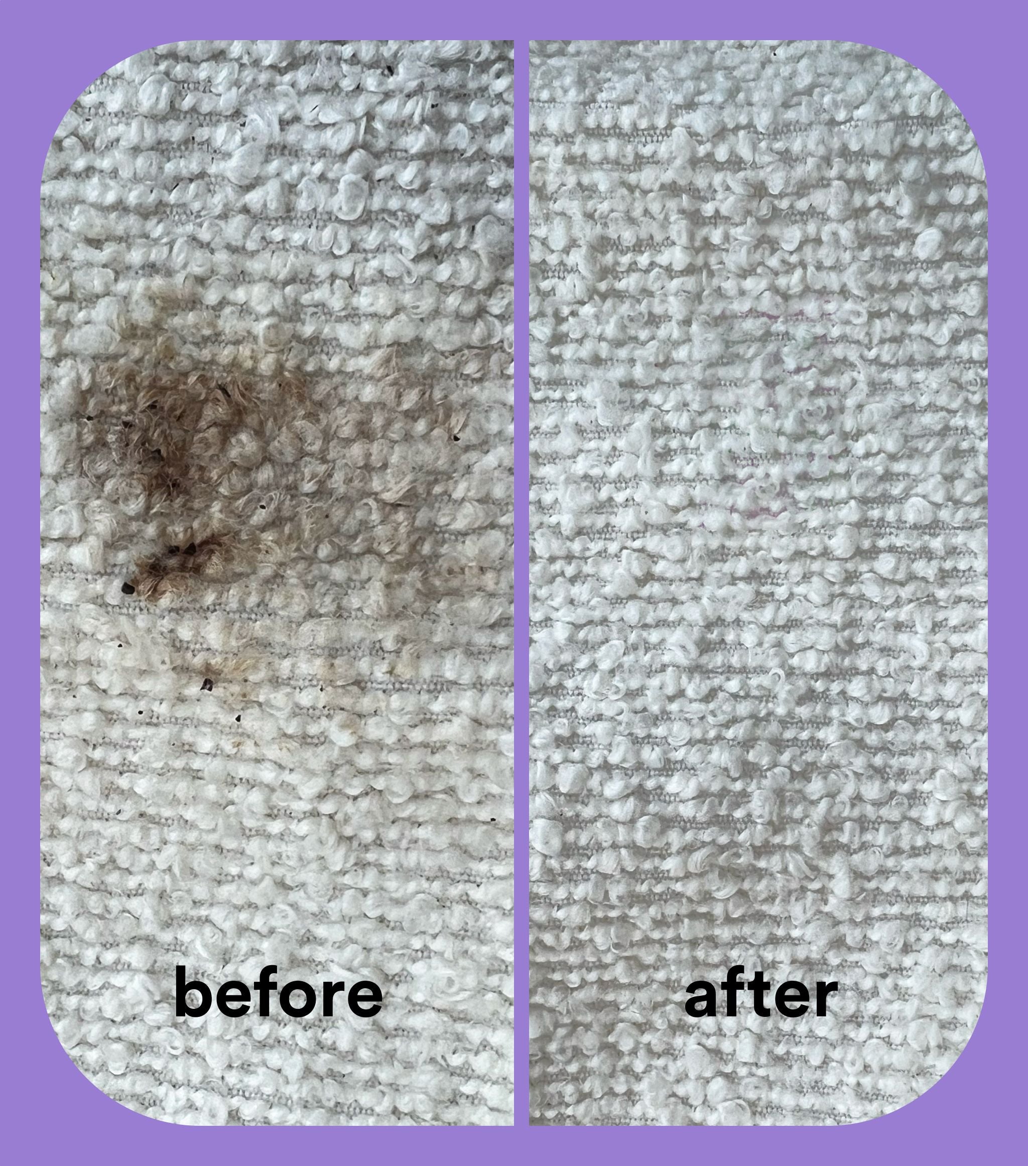 Stain Remover Starter Kit